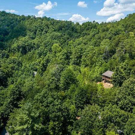 Bearfootin Villa